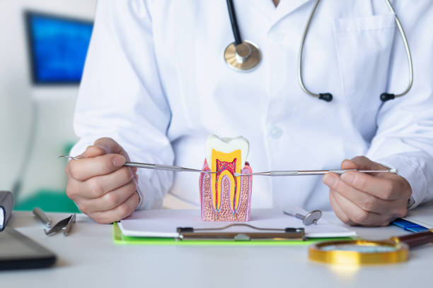 Best Urgent Tooth Repair  in Lewes, DE